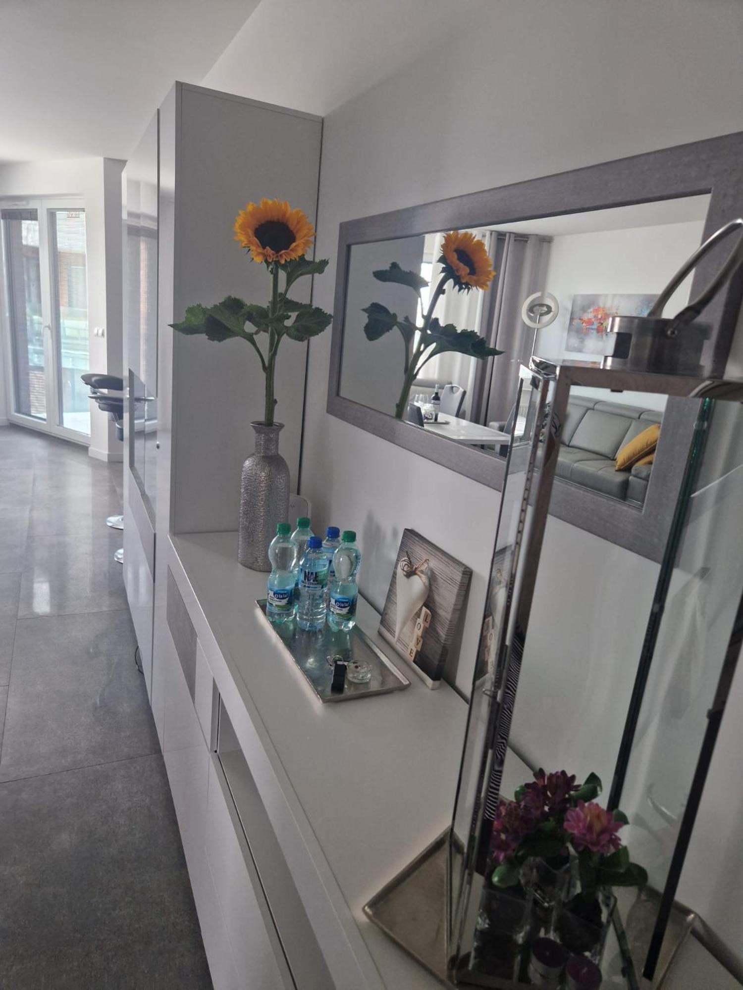 Apartament Delfin Puck Extérieur photo