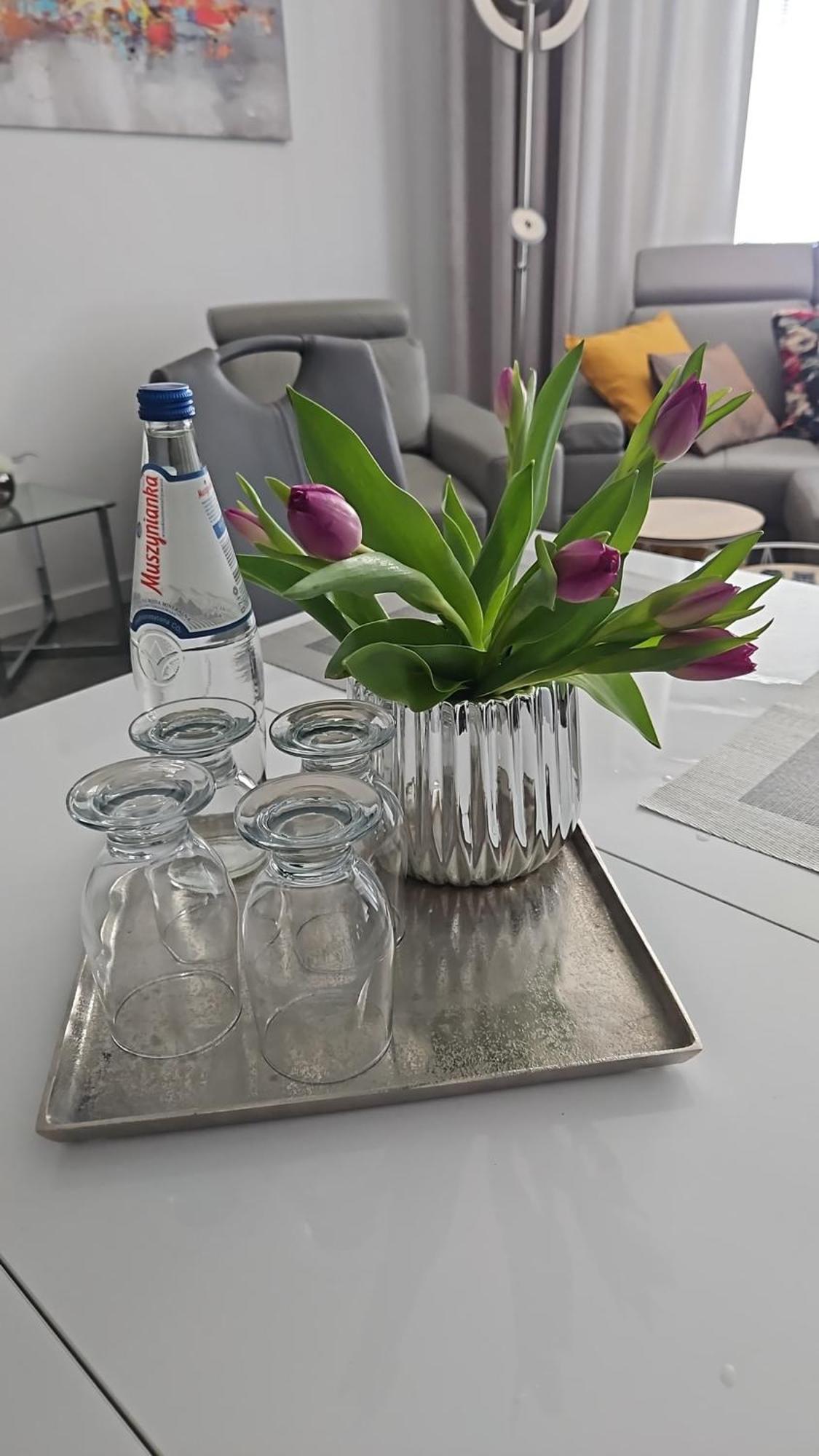 Apartament Delfin Puck Extérieur photo